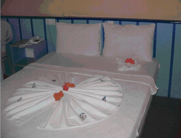 Pamukkale Hotel Didim Rom bilde